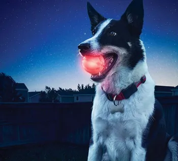 Darmowa wysyłka TPR pet dog toy playing toys shining ball DOG TOY BALLS