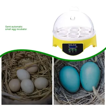 7 jaj inkubator ptasie jajko inkubator półautomatyczny miniaturowy jaj inkubator Gołąb inkubatory domowe