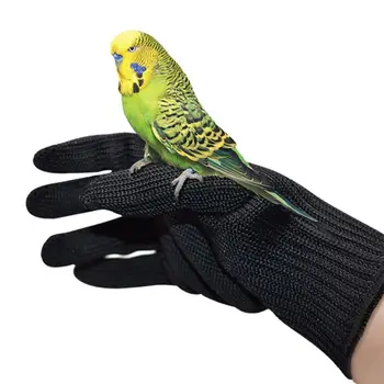 Szkolenie ptaków anti-bite rękawice traktowanie zwierząt żuć rękawice ochronne dla papugi