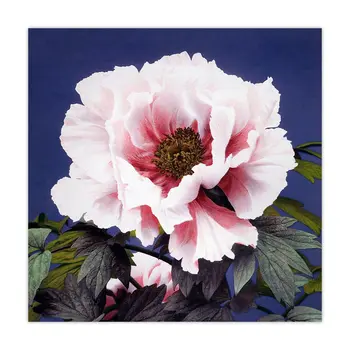 Piwonia Kwiat Botaniczny Vintage Plakat Ogawa Казумаса Japońskie Ścienne Sztuki Kwiatowy, Druk Na Płótnie Malarstwo Obraz Dekoracje Do Domu